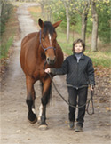 A woman in a black jacket leads a large brown horse along a dirt trail lined with trees.