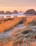 Scenic view of the Oregon coast at sunset with sea stacks in the water and tall beach grass in the foreground.