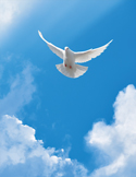 A white dove soaring through a bright blue sky with soft white clouds and sunbeams.