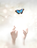 A bright, ethereal image of a blue butterfly flying upward away from two reaching open hands.