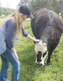 A woman in a baseball cap gently pets a black and white cow in a grassy field.
