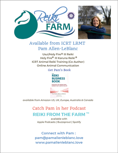 Pam Allen-Leblanc Licensed Reiki Master Teacher Fall 2025 Reiki News Magazine Ad