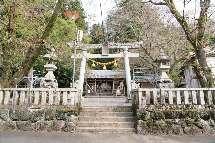 Entrance to a Tenyo shrine with a stone torii gate, lanterns, steps, and surrounding trees.