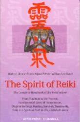 Book cover titled “The Spirit of Reiki,” featuring a stylized statue torso with bold red Reiki symbols over a soft purple background.