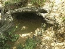 Entrance to Fairyland Entrance to Fairyland