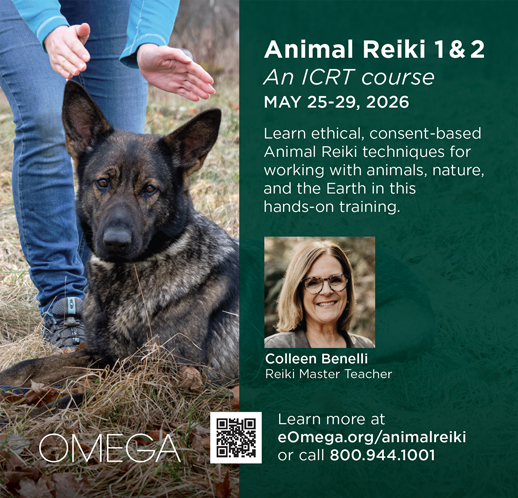 Animal Reiki 1 & 2 course ad, May 25-29, 2026, with a German Shepherd, Colleen Benelli’s photo, and Omega Institute info.