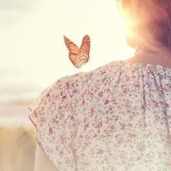 A butterfly hovers near a person’s shoulder as warm sunlight glows behind them, creating a peaceful, gentle outdoor scene.