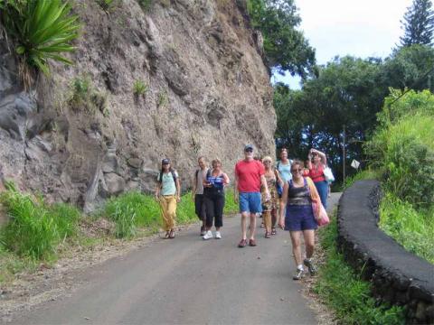 Walking to the Waterfall
